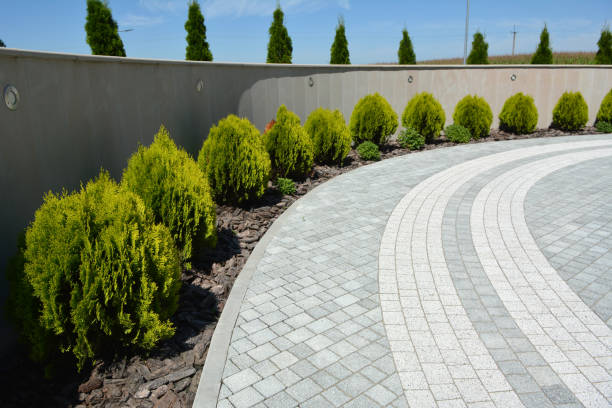 Best Affordable Driveway Pavers  in Fairmount, TN